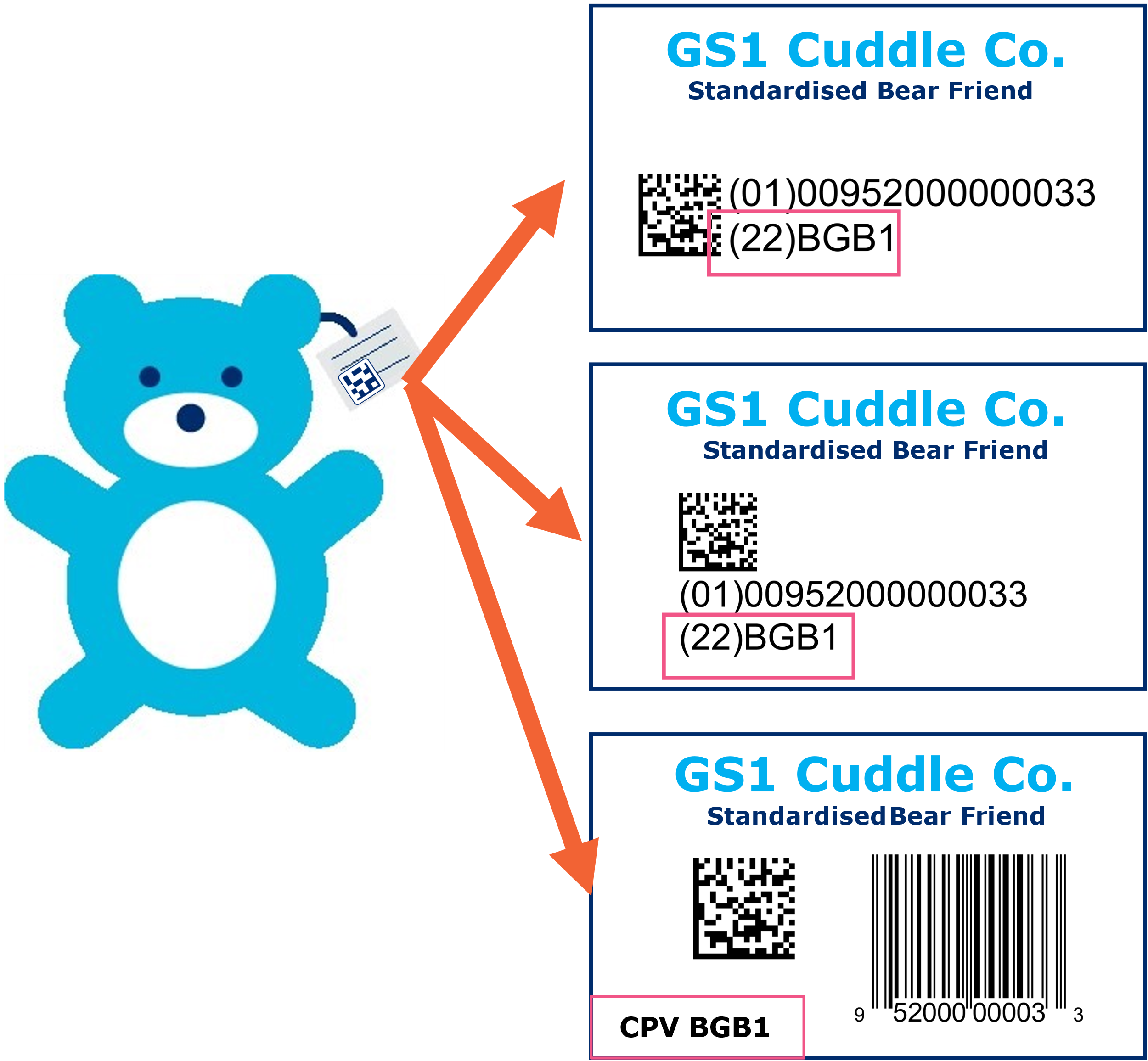 Three versions of the same hang tag, each with a GS1 DataMatrix and an EAN-13. The CPV is shown in different locations on each emphasising that there are no strict rules on this.